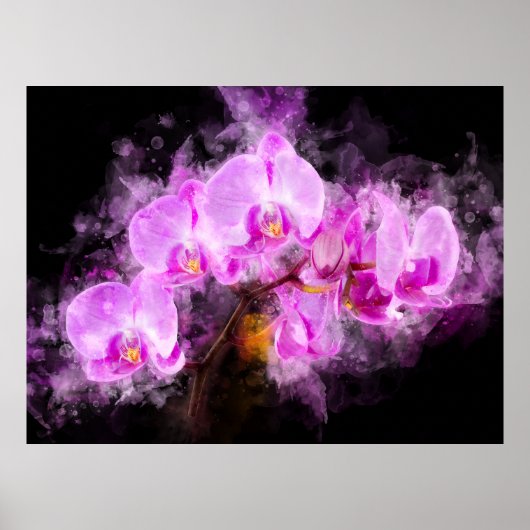 Orchidee bloem waterverf - roze bb 03 poster (Voorkant)