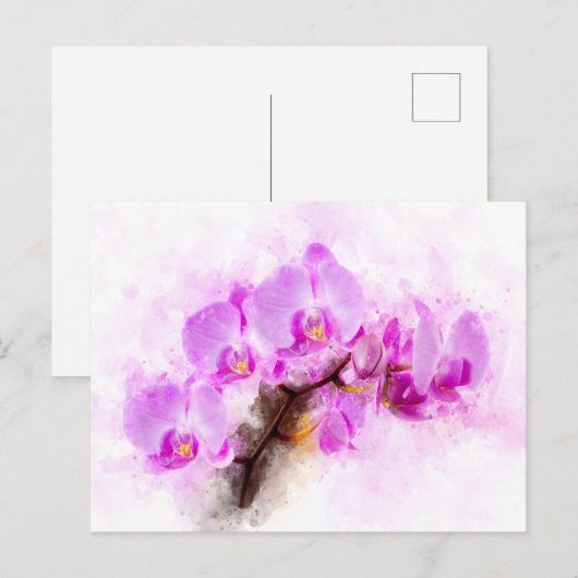 Orchidee bloem waterverf - roze wb 03 briefkaart (Voorkant / Achterkant)
