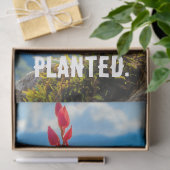 Orchidee Bloem Weefsel/Decoupage Papier (Geschenk)