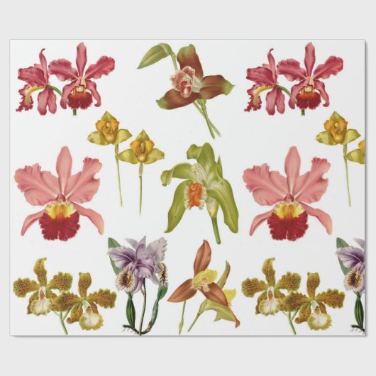  orchidee bloemen botanische tuinkunst cadeaupapier (Vlak)