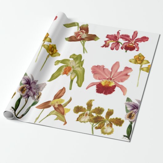  orchidee bloemen botanische tuinkunst cadeaupapier (Uitgerold)