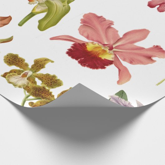  orchidee bloemen botanische tuinkunst cadeaupapier (Hoek)