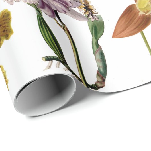  orchidee bloemen botanische tuinkunst cadeaupapier (Rol Hoek)