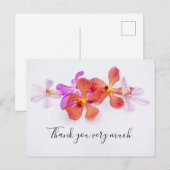 Orchidee bloemen op witte achtergrond Hartelijk da Briefkaart (Voorkant / Achterkant)