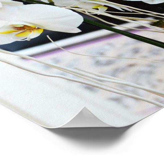 Orchidee bloemen poster (Hoek)