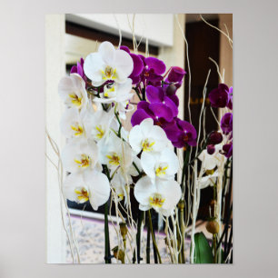 Orchidee bloemen poster