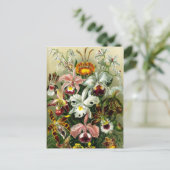  orchidee bloemillustratie briefkaart (Staand voorkant)