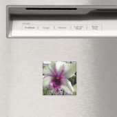 Orchidee Bloemmagneet Magneet (Insitu (Vaatwasser))