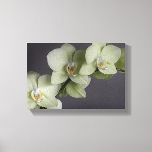 Orchidee Blossoms Elegant Chic Mod Canvas Afdruk (Voorkant)