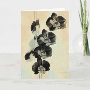Orchidee Blush Panels III Kaart