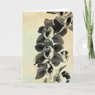 Orchidee Blush Panels IV Kaart