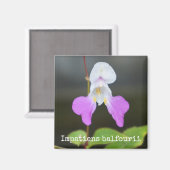 Orchidee botanische magneet van slecht Man (Voorkant / Achterkant)