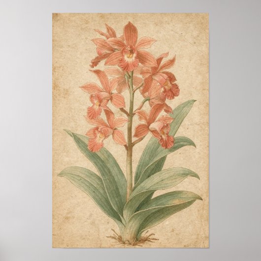 Orchidee Botanische Print (Voorkant)