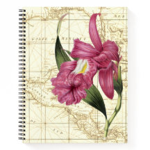 Orchidee Botanische Verkennersnotitieboek