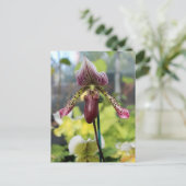 Orchidee Briefkaart (Staand voorkant)