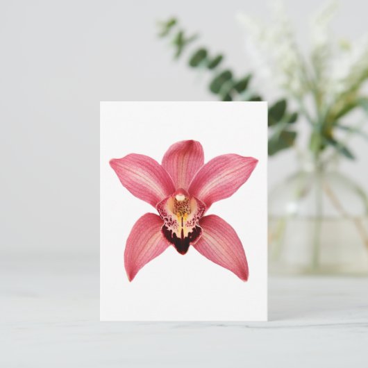 Orchidee Briefkaart (Staand voorkant)