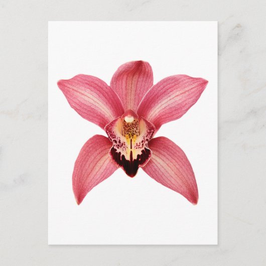 Orchidee Briefkaart (Voorkant)