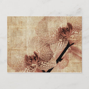 orchidee briefkaart