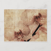 orchidee briefkaart (Voorkant)