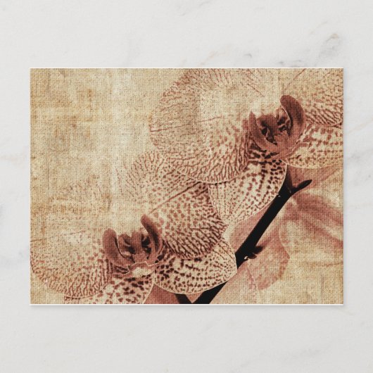 orchidee briefkaart (Voorkant)