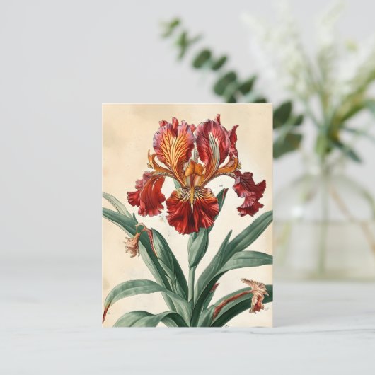  orchidee briefkaart (Staand voorkant)