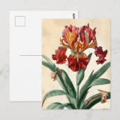  orchidee briefkaart (Voorkant / Achterkant)