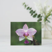 Orchidee Briefkaart (Staand voorkant)