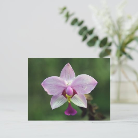 Orchidee Briefkaart (Staand voorkant)
