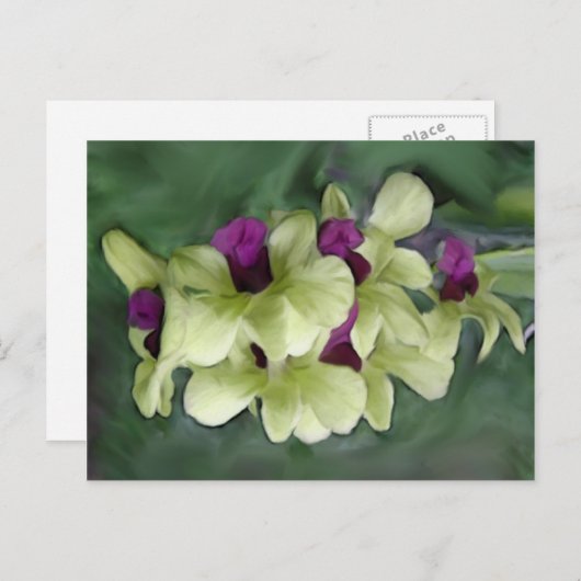 Orchidee Briefkaart (Voorkant / Achterkant)