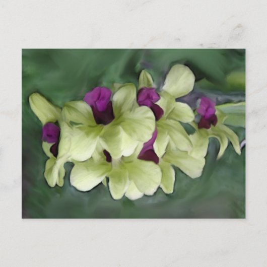 Orchidee Briefkaart (Voorkant)