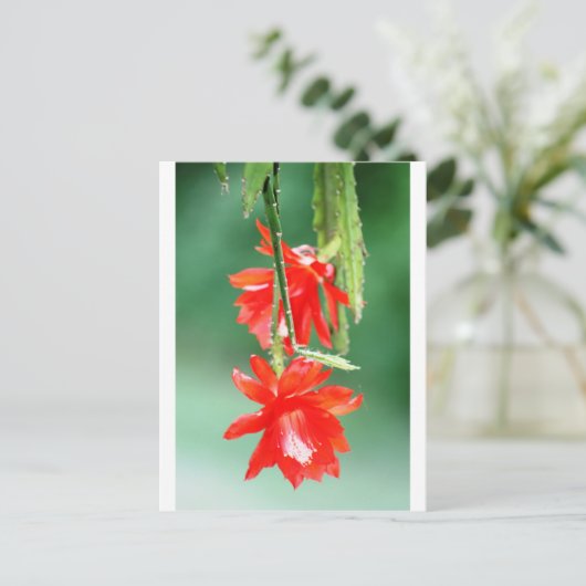 Orchidee Cactus in Bloom Briefkaart (Staand voorkant)