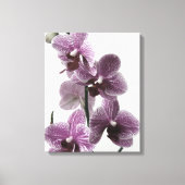 Orchidee Canvas Print (Voorkant)