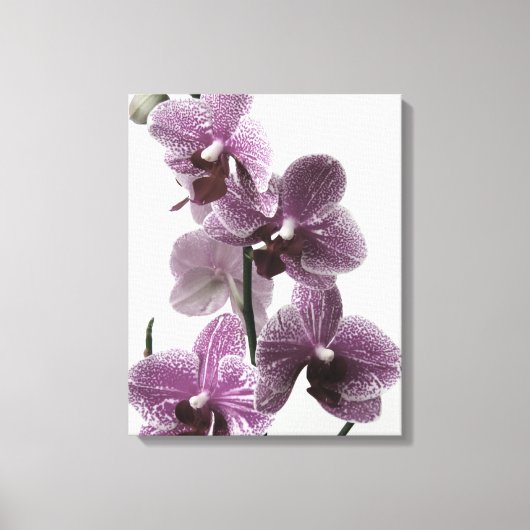 Orchidee Canvas Print (Voorkant)