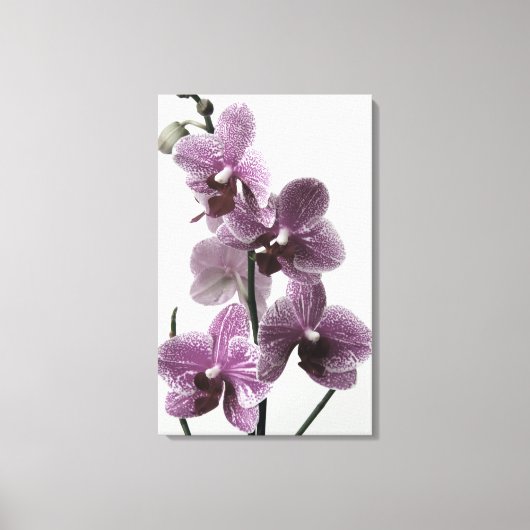 Orchidee Canvas Print (Voorkant)