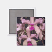 Orchidee, (Cattleya amethystoglossa), oostelijk Magneet (Voorkant / Achterkant)
