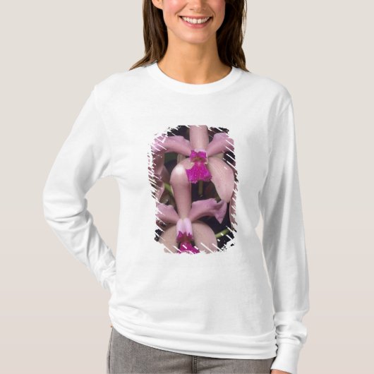 Orchidee, (Cattleya amethystoglossa), oostelijk T-shirt (Voorkant)