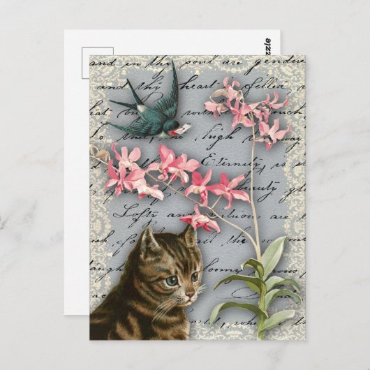  orchidee collage Briefkaart (Voorkant / Achterkant)