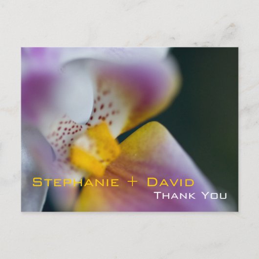 Orchidee · Dank u Briefkaart (Voorkant)