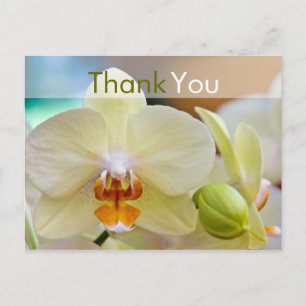 Orchidee · Dank u Briefkaart