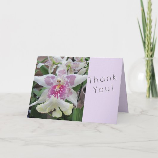 Orchidee Dankkaart Kaart (Voorkant)