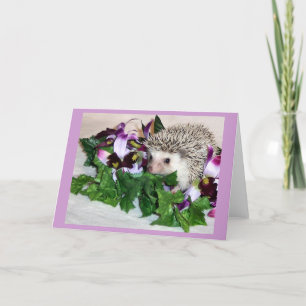 Orchidee de Egel Kaart