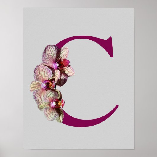 Orchidee Elegante Monogram Initiaal C Poster (Voorkant)