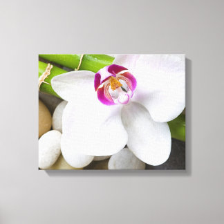orchidee en Bamboe Canvas Afdruk