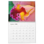 Orchidee-extravaganza Kalender (Jan 2026)