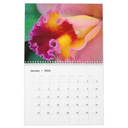 Orchidee-extravaganza Kalender (Jan 2026)