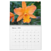 Orchidee-extravaganza Kalender (Feb 2026)