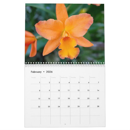 Orchidee-extravaganza Kalender (Feb 2026)