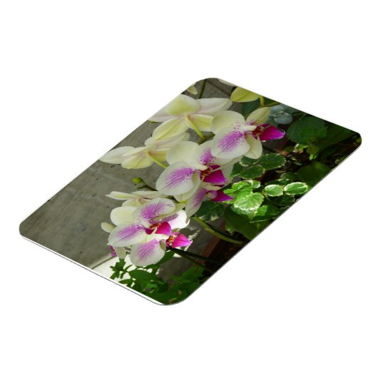 Orchidee flexibele fotomagneet magneet (Linkerzijde)
