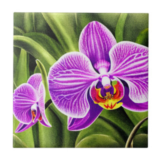 Orchidee Flower Decorative Florence Ceramic Tegels Tegeltje