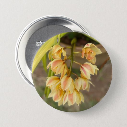 Orchidee Flower Sticker Ronde Button 7,6 Cm (Voorkant /achterkant)